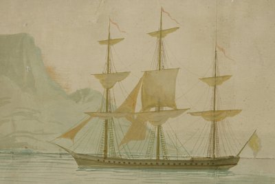 PANORAMIC WALLPAPER PANEL, EXOTIC SCENE IN THE ZUBER STYLE