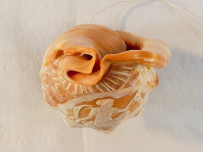 Luce notturna in stile cammeo in conchiglia intagliata