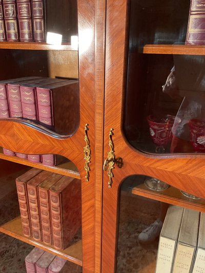 Libreria in palissandro parigino