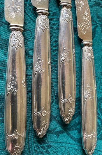 12 fruit knives.