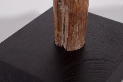 Tête Ancestrale Tau-Tau Toraja, Célèbes