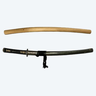SABER called Wakizashi signed Echigo no kami Kanesada in shirasaya with koshirae - Japan - 17th century