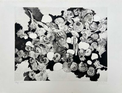 Etching by Jean-Louis VIARD - Shells