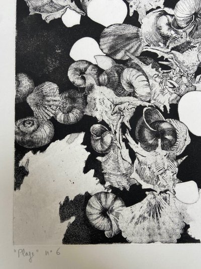 Etching by Jean-Louis VIARD - Shells