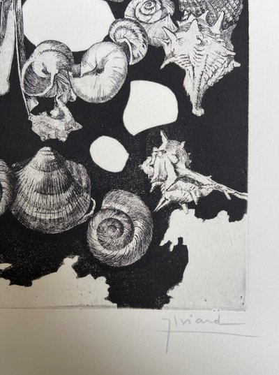 Etching by Jean-Louis VIARD - Shells