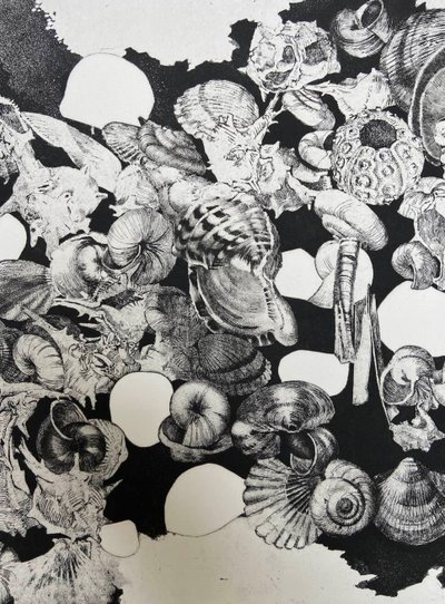Etching by Jean-Louis VIARD - Shells