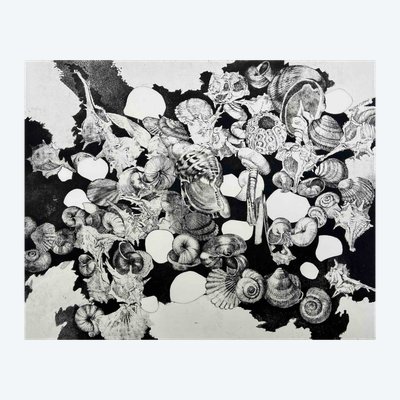 Etching by Jean-Louis VIARD - Shells