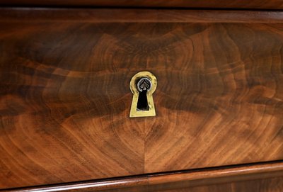 Secretaire in mogano e radica di mogano, periodo della Restaurazione – Parte 1 del XIX secolo