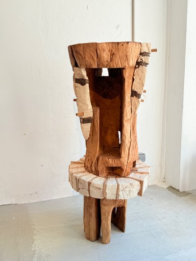 Paolo Bosi Scultura in Legno Opere Uniche