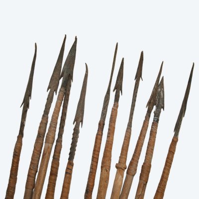 Lot de 11 flèches très ancienne