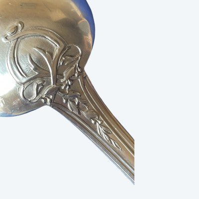 Serving spoon.