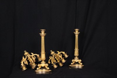 Coppia di candelabri a 6 luci in bronzo dorato, XIX secolo, periodo Luigi Filippo