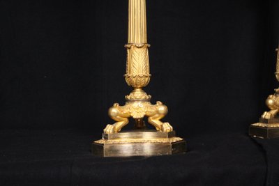 Coppia di candelabri a 6 luci in bronzo dorato, XIX secolo, periodo Luigi Filippo