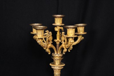 Coppia di candelabri a 6 luci in bronzo dorato, XIX secolo, periodo Luigi Filippo