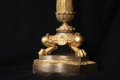 Coppia di candelabri a 6 luci in bronzo dorato, XIX secolo, periodo Luigi Filippo