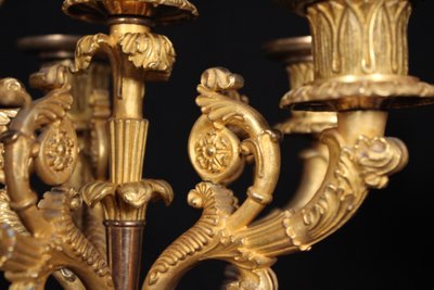 Coppia di candelabri a 6 luci in bronzo dorato, XIX secolo, periodo Luigi Filippo