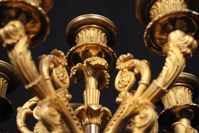 Coppia di candelabri a 6 luci in bronzo dorato, XIX secolo, periodo Luigi Filippo