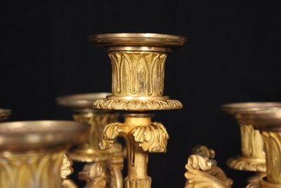 Coppia di candelabri a 6 luci in bronzo dorato, XIX secolo, periodo Luigi Filippo