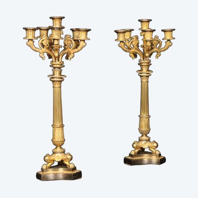 Coppia di candelabri a 6 luci in bronzo dorato, XIX secolo, periodo Luigi Filippo