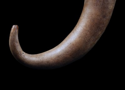 Körperschmuck, Traditionell, Tribal Art, Ozeanische Kunst, Ozeanien, Papua-Neuguinea, 23 cm