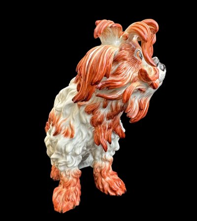 Figura di cane bolognese in porcellana di Meissen