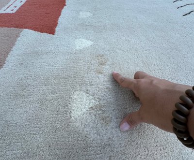 Toulemonde Bochart rug 350x250 cm