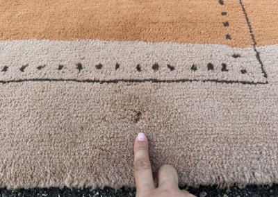 Toulemonde Bochart rug 350x250 cm