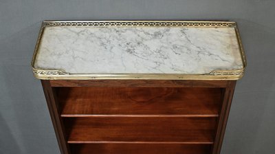 Bibus en Acajou, style Louis XVI – Milieu XXe