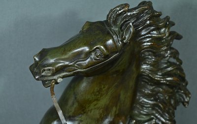 Large bronze "Le Cheval de Marly" after Coustou - Early 20th century