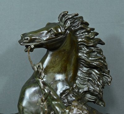 Large bronze "Le Cheval de Marly" after Coustou - Early 20th century