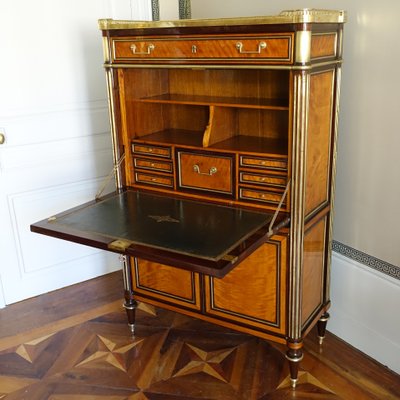 Sekretär aus Zitronenbaum und Amaranth aus der Zeit von Louis XVI - Ende 18.