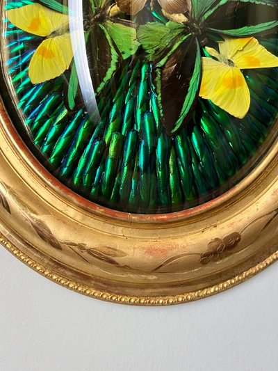 Ovaler Rahmen Holz Vergoldet Blatt Gold - Cabinet Curiosités - Schmetterlinge - Napoleon III - 19.