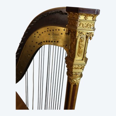 HARPE HERARD 