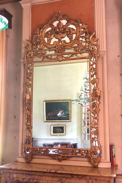 Specchio in legno dorato con rami di vite