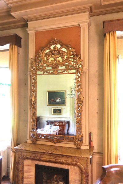 Specchio in legno dorato con rami di vite