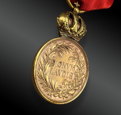 Medaglia al Merito Militare, SIGNUM LAUDIS. Austria, dal 1890