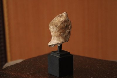 Tête féminine antique en terre cuite, période hellénistique