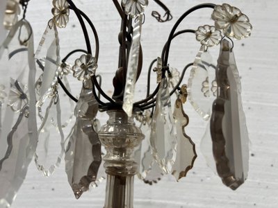 Lampadario in stile Luigi XV con pendenti e frutta in vetro colorato XX secolo