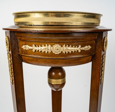 Mahogany and Mahogany Veneer Pedestal with vert de Mer Marble Top, Empire Style circa 1870