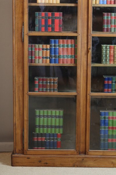 Bibliothèque XIX en noyer 