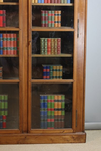 Bibliothèque XIX en noyer 