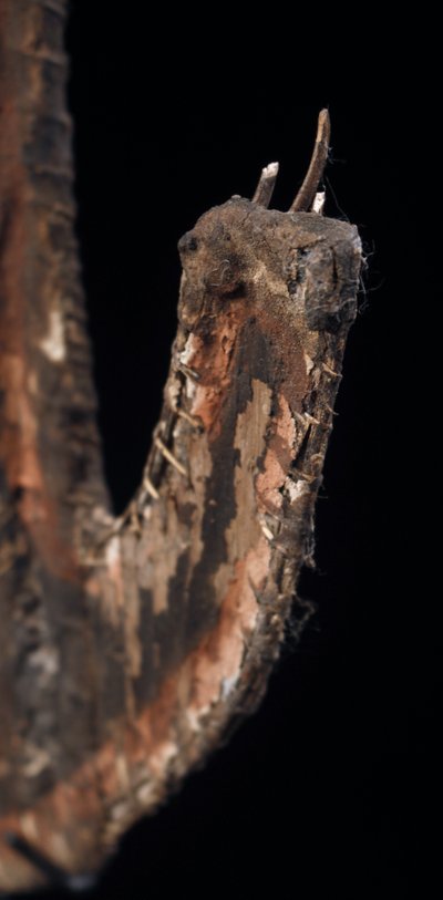 Cult figure, tribal art, Oceanic art, Oceania, Papua New Guinea, 73 cm