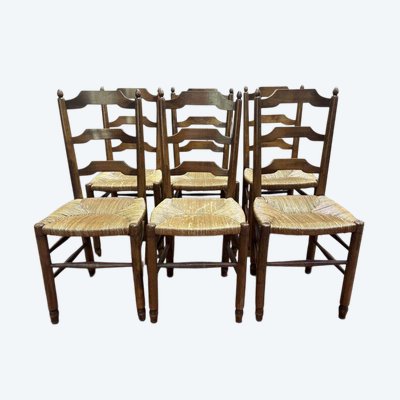 Sallery chairs Service Dining Room