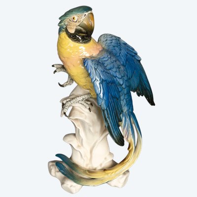 Un sujet en porcelaine sculpture de perroquet, Allemagne XXème siècle 