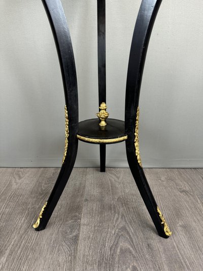 Napoleon III Planter In Blackened Wood, Gilded Bronze And Hand-painted Porcelain, 19th Century