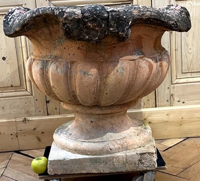 Monumental pair of terracotta planters or orange tree pots with cement base.