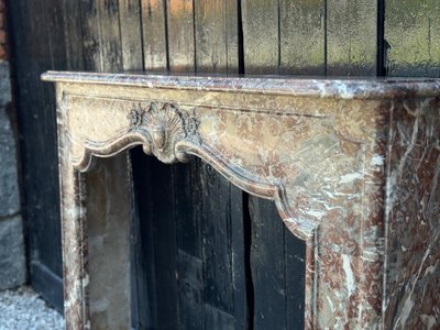 Regency style fireplace in Rance marble, 19th century