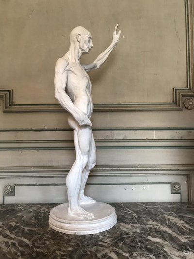 Scorticato e ricoperto di gesso