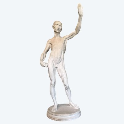 Scorticato e ricoperto di gesso