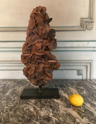 Rose Des Sables Soclée